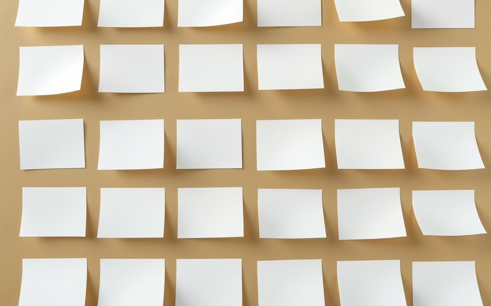 A grid of blank answer bubbles, macro